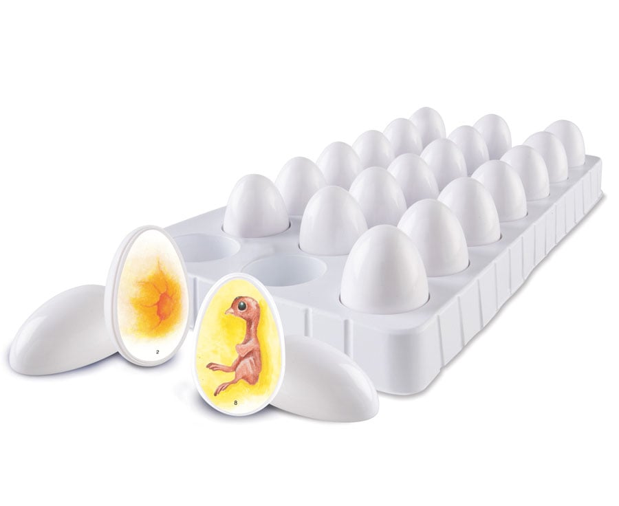 Learning Resources Lebenszyklus „Vom Ei zum Huhn“