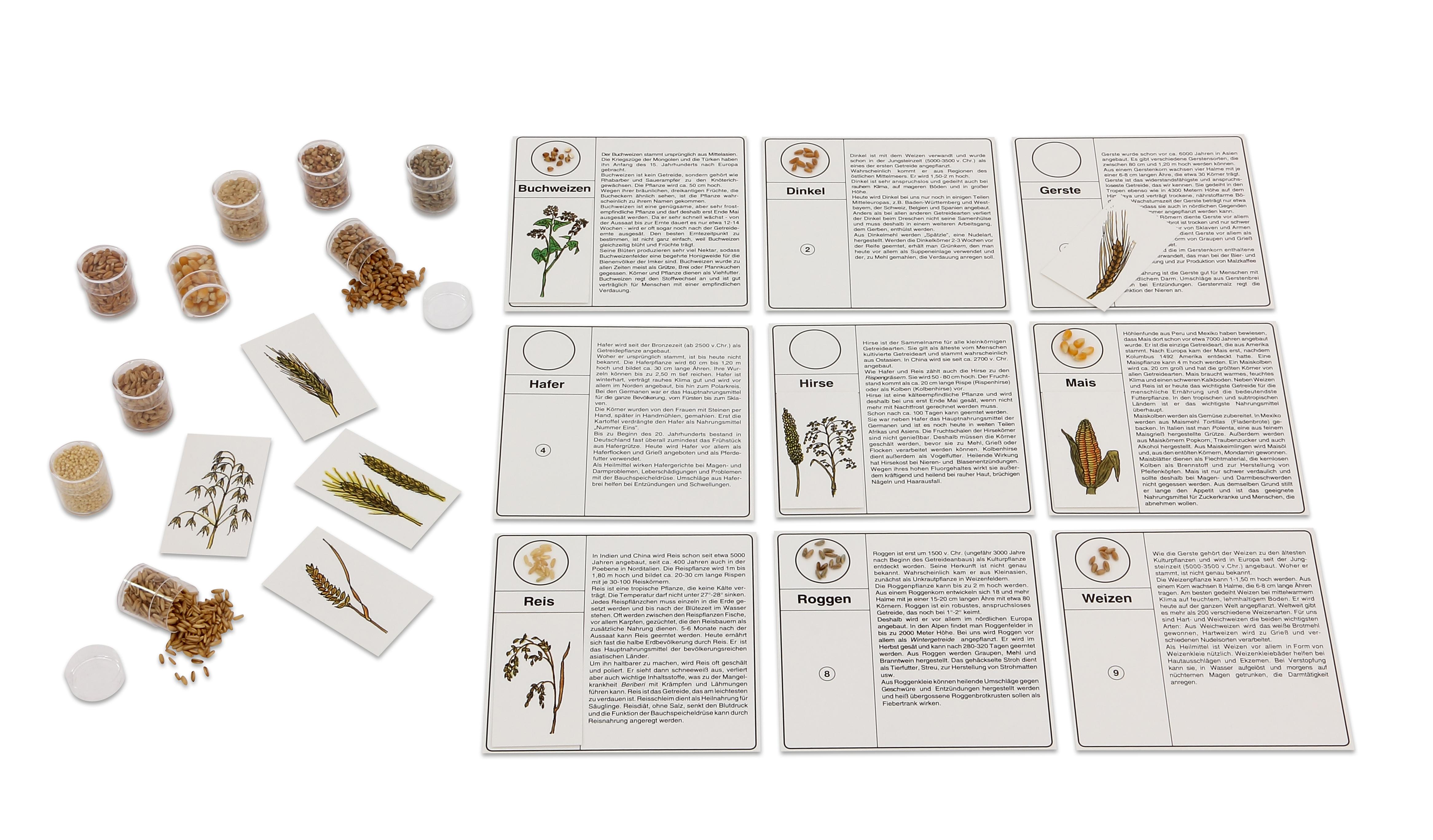 Sauros Verlag Die Körnerkiste