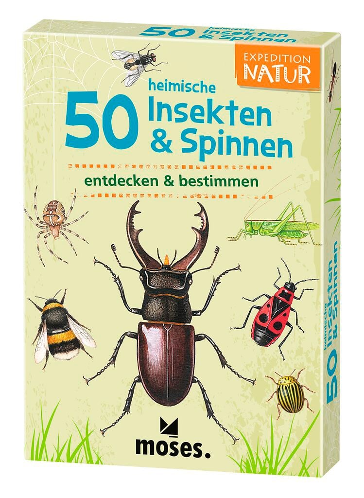 Moses Expedition Natur 50 heimische Insekten & Spinnen