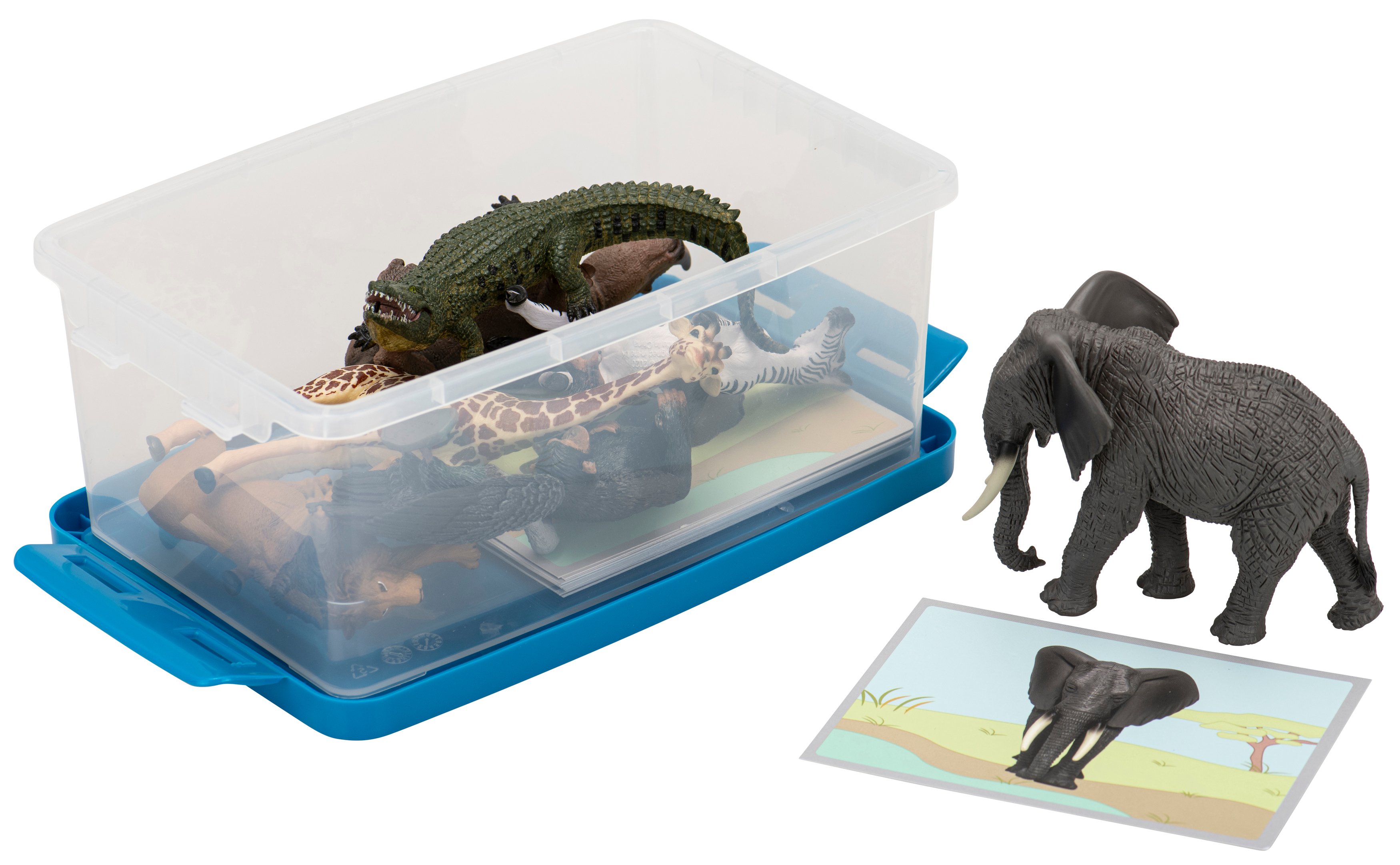 Betzold Tiere zuordnen, Ausführung: Wilde Tiere