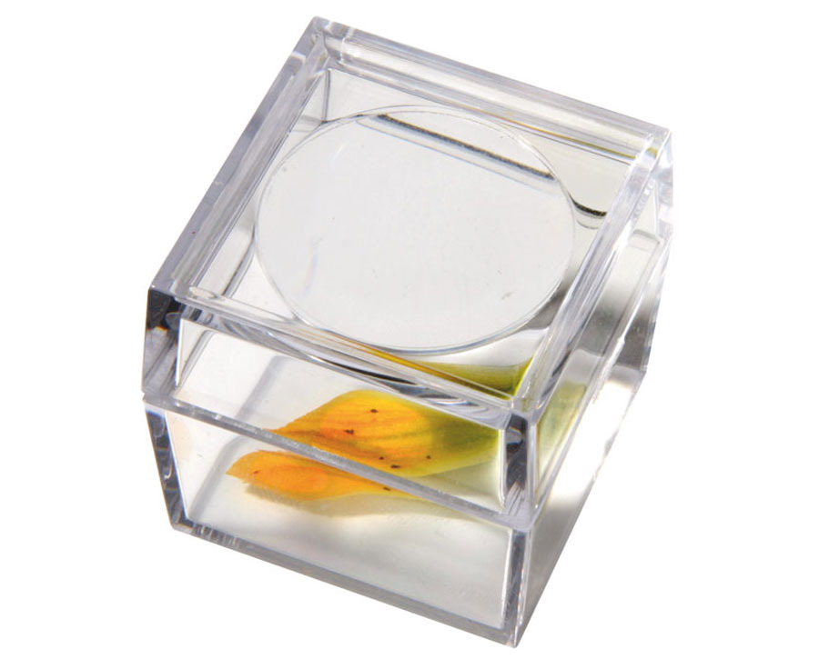 Betzold Vitrinen-Lupe, 3-fach vergrößernd