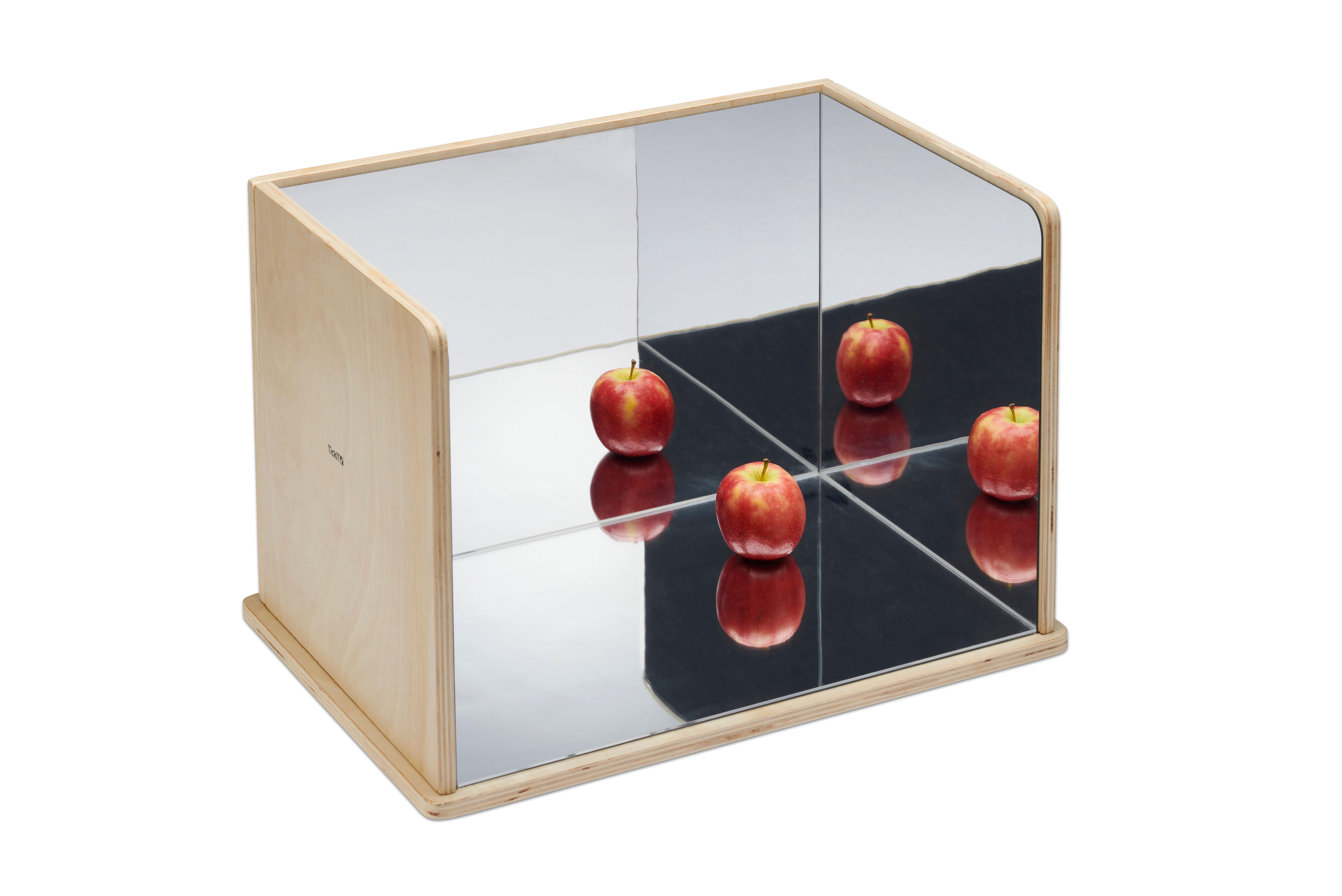 TickIt Forscher-Spiegel