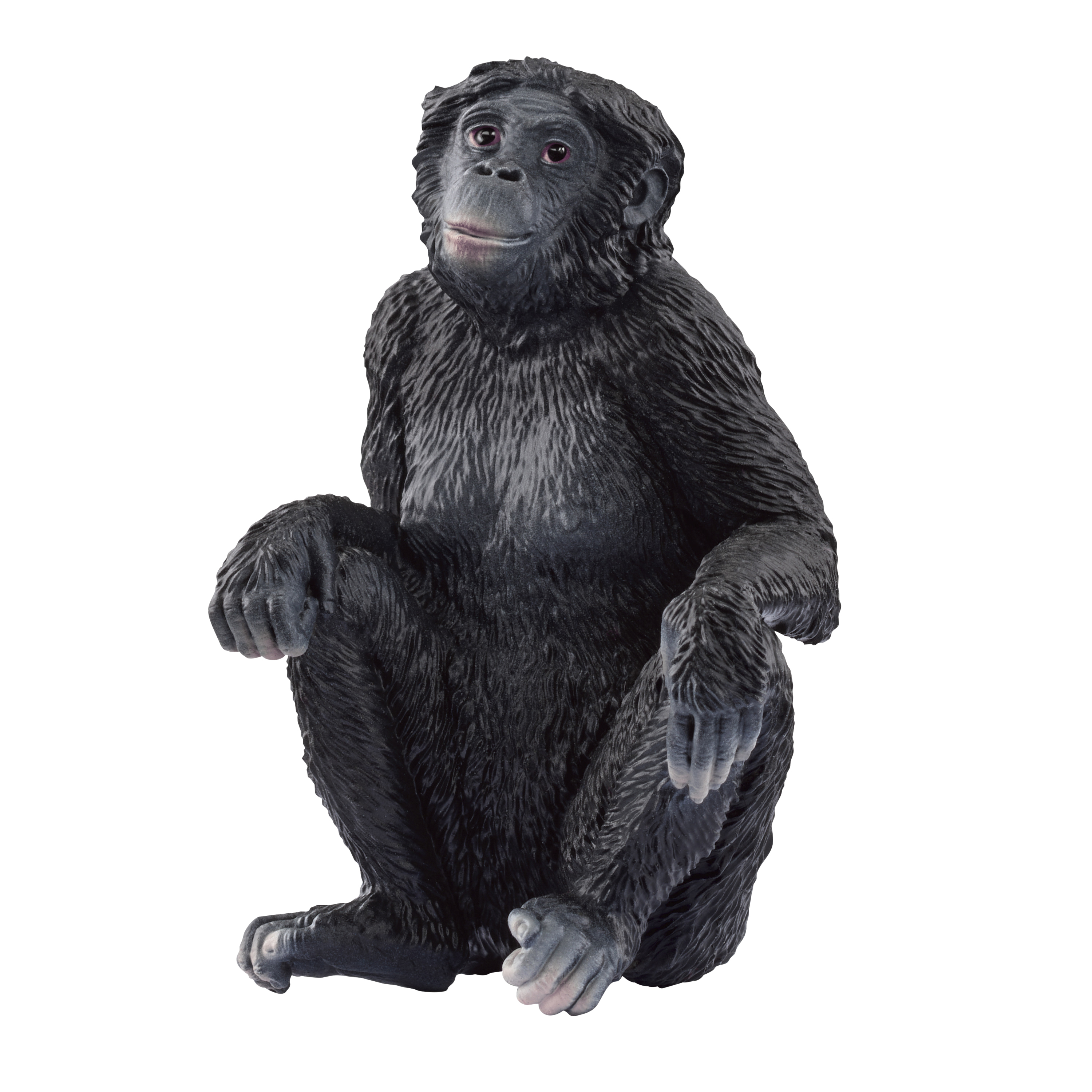 schleich® Bonobo