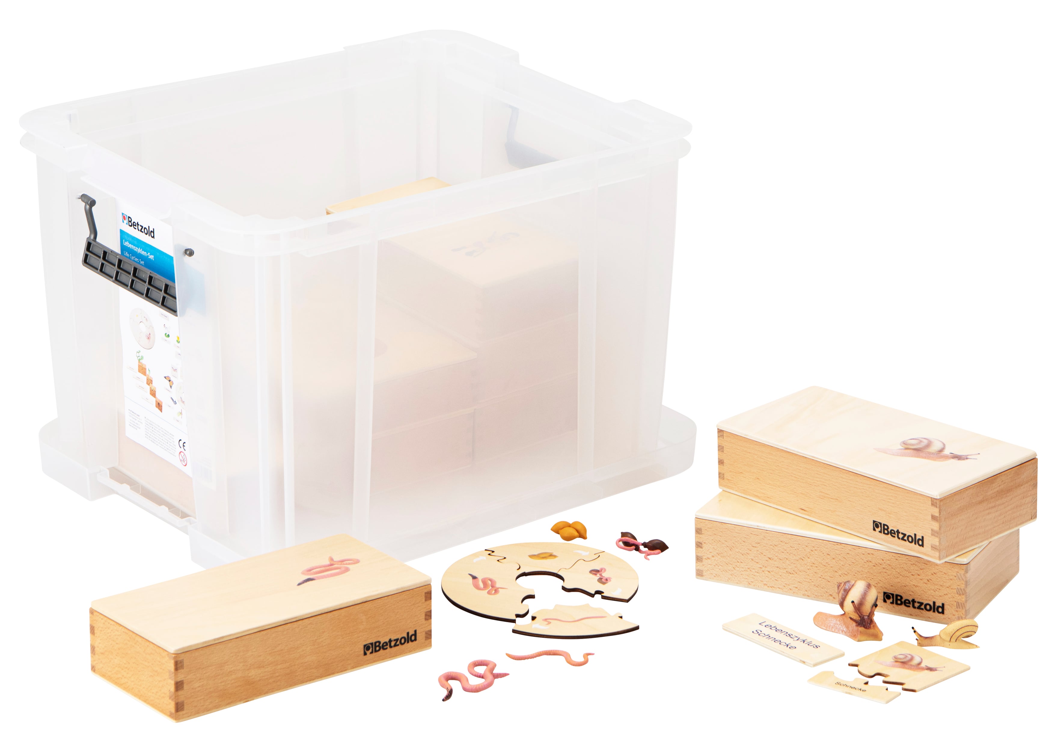 Betzold Lebenszyklen-Set