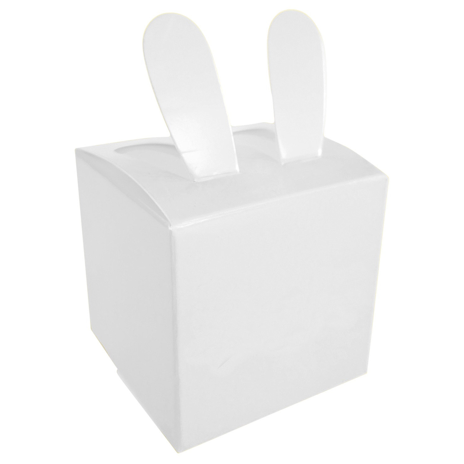 SUNNYSUE Faltschachtel Osterhase, 12 Stück, Aufbewahrungsbox & Blankomaterial