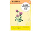 Expedition Natur – 50 heimische Blumen