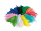 folia Flauschfedern Mix 100g farbig sortiert