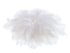 folia Flauschfedern Mix 100g farbig sortiert