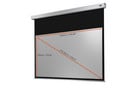 Motorleinwand Professional Plus