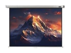 Leinwand Professional