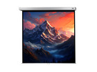 Leinwand Professional Plus