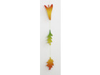 folia Regenbogen Fotokarton 300 g/m² 50 x 70 cm 10 Bogen