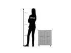 Flexeo® Fahrbares Containersystem mit Ablage 6 große Boxen
