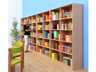 Flexeo® Bibliotheksregal 40 Fächer hoch Breite 505 6 cm