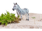 Betzold Afrikanische Tiere 10 tlg