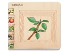 beleduc Lagenpuzzle Apfel