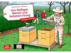 Kamishibai Bildkarten Von fleißigen Bienen und leckerem Honig