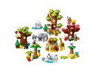 LEGO® DUPLO® Wilde Tiere der Welt