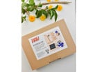 Solar Modelle für PLAYmake und UNIMAT Holz Set