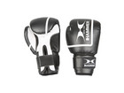 Boxhandschuhe Fit 2