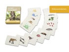 Naturrallyes für die Grundschule