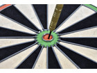 Dartboard Karella Master