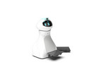 Oti Bot Gabelstapler