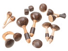 Kokos Maracas Set