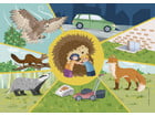 Betzold Kamishibai Bildkarten Der Igel