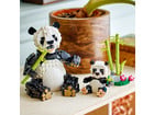 LEGO® Creator Wilde Tiere: Pandafamilie