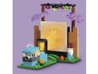 LEGO® Friends Filmabend mit Freunden