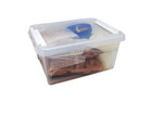teifoc Kita und Grundschulbox Steinbaukasten M für 5 Kinder