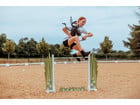 Springparcours Blumenwiese – Hobby Horsing