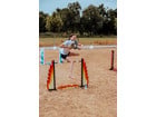 Springparcours Feuer – Hobby Horsing