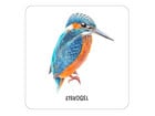 Expedition Natur – Das große Vogel Memo