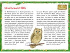 Bildkarten Wichtel Emil und die Waldtiere