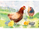 Kamishibai Bildkarten Wie lebt das Huhn?