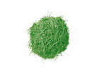 folia Ostergras