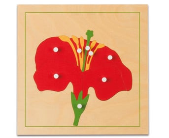 Nienhuis Botanisches Puzzle