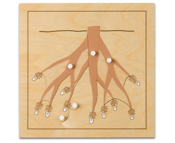 Nienhuis Botanisches Puzzle