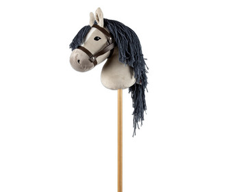 Steckenpferd Hobby Horsing