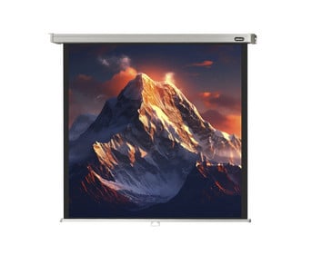 Leinwand Professional
