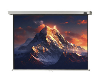 Leinwand Professional