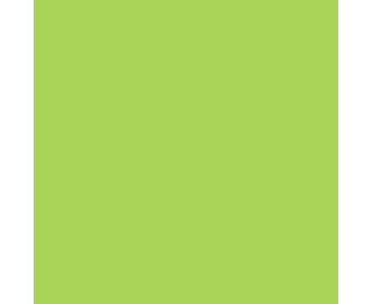 folia Fotokarton 300 g/m² DIN A4 50 Blatt einer Farbe