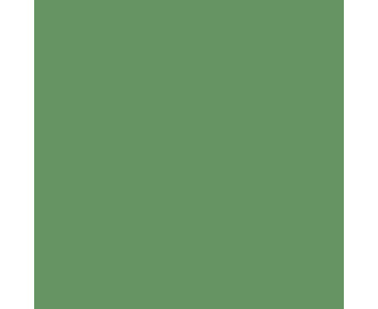 folia Fotokarton 300 g/m² DIN A4 50 Blatt einer Farbe