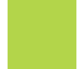 folia Fotokarton 300 g/m² DIN A4 50 Blatt einer Farbe