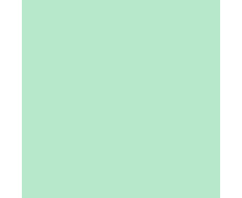 folia Fotokarton 300 g/m² DIN A4 50 Blatt einer Farbe