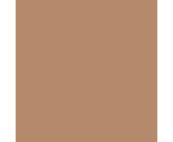 folia Fotokarton 300 g/m² DIN A4 50 Blatt einer Farbe