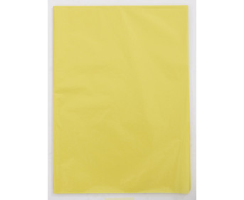 folia Transparentpapier 42 g/m² 70 x 100 cm 25 Bogen einer Farbe