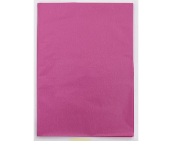 folia Transparentpapier 42 g/m² 70 x 100 cm 25 Bogen einer Farbe